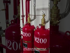 Fm200 Fire Suppression System