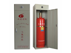 Highly Efficient FM200 Cabinet System For Sensitive Electronic Equipment Protection